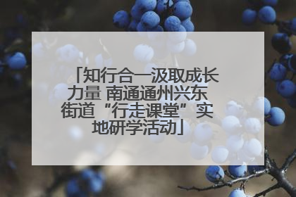 知行合一汲取成长力量 南通通州兴东街道“行走课堂”实地研学活动