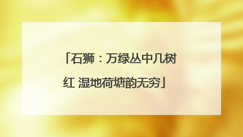 石狮：万绿丛中几树红 湿地荷塘韵无穷