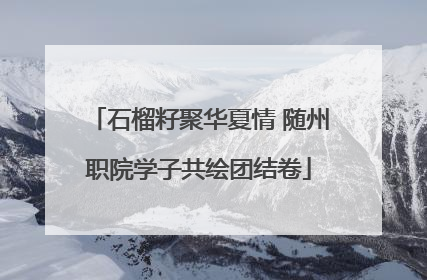 石榴籽聚华夏情 随州职院学子共绘团结卷