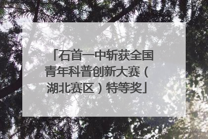 石首一中斩获全国青年科普创新大赛（湖北赛区）特等奖