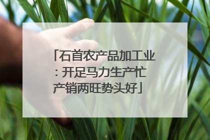 石首农产品加工业：开足马力生产忙 产销两旺势头好