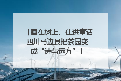 睡在树上、住进童话 四川马边县把茶园变成“诗与远方”