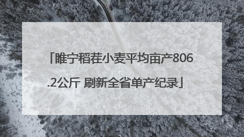 睢宁稻茬小麦平均亩产806.2公斤 刷新全省单产纪录