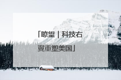 瞭望｜科技右翼重塑美国
