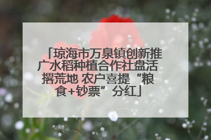 琼海市万泉镇创新推广水稻种植合作社盘活撂荒地 农户喜提“粮食+钞票”分红