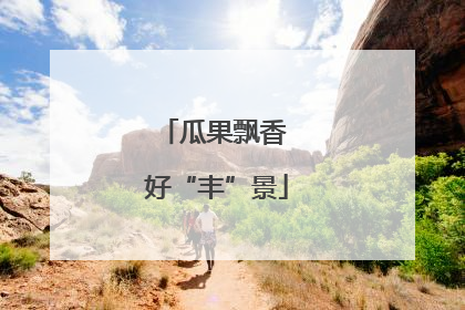瓜果飘香 好“丰”景