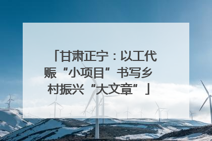 甘肃正宁：以工代赈“小项目”书写乡村振兴“大文章”