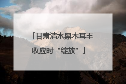 甘肃清水黑木耳丰收应时“绽放”