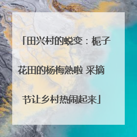 田兴村的蜕变：栀子花田的杨梅熟啦 采摘节让乡村热闹起来