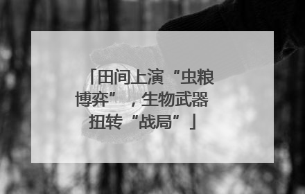 田间上演“虫粮博弈”，生物武器扭转“战局”