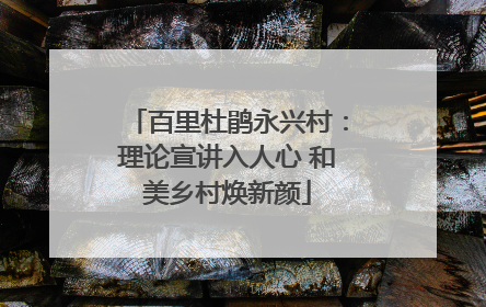 百里杜鹃永兴村：理论宣讲入人心 和美乡村焕新颜