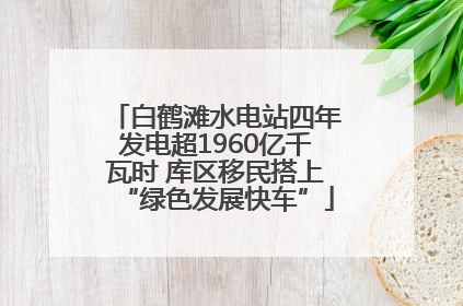 白鹤滩水电站四年发电超1960亿千瓦时 库区移民搭上“绿色发展快车”