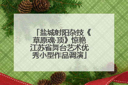 盐城射阳杂技《草原魂·顶》惊艳江苏省舞台艺术优秀小型作品调演