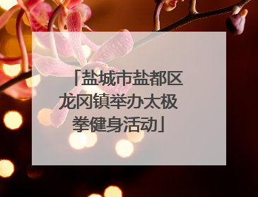 盐城市盐都区龙冈镇举办太极拳健身活动