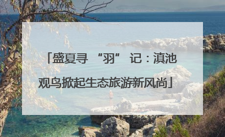 盛夏寻 “羽” 记：滇池观鸟掀起生态旅游新风尚