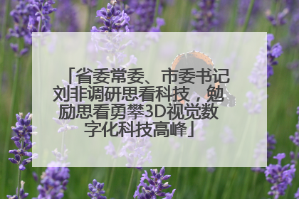 省委常委、市委书记刘非调研思看科技，勉励思看勇攀3D视觉数字化科技高峰