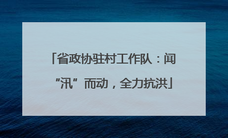 省政协驻村工作队：闻“汛”而动，全力抗洪