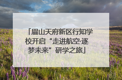 眉山天府新区行知学校开启“走进航空·逐梦未来”研学之旅