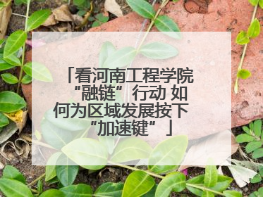 看河南工程学院“融链”行动 如何为区域发展按下“加速键”