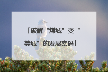 破解“煤城”变“美城”的发展密码