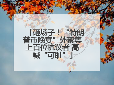砸场子！“特朗普币晚宴”外聚集上百位抗议者 高喊“可耻”