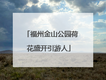 福州金山公园荷花盛开引游人