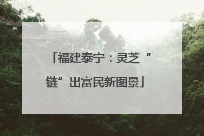 福建泰宁：灵芝“链”出富民新图景