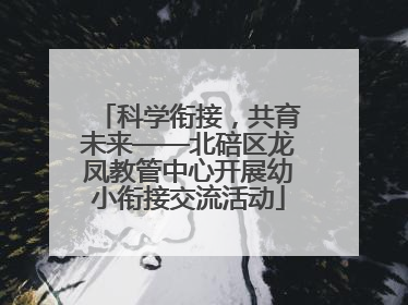 科学衔接，共育未来——北碚区龙凤教管中心开展幼小衔接交流活动