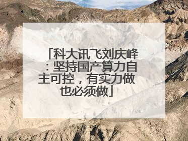 科大讯飞刘庆峰：坚持国产算力自主可控，有实力做也必须做