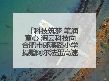 科技筑梦 笔润童心 淘云科技向合肥市郎溪路小学捐赠阿尔法蛋高速词典笔