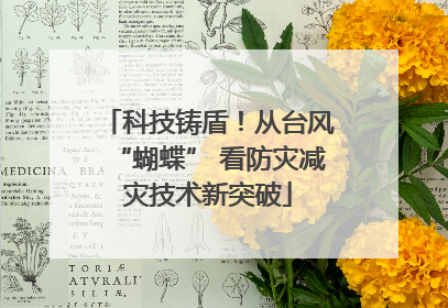 科技铸盾！从台风“蝴蝶” 看防灾减灾技术新突破