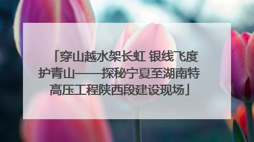 穿山越水架长虹 银线飞度护青山——探秘宁夏至湖南特高压工程陕西段建设现场