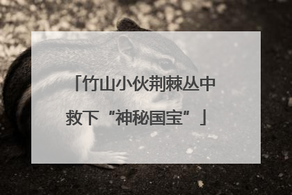 竹山小伙荆棘丛中救下“神秘国宝”