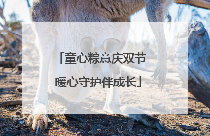 童心粽意庆双节 暖心守护伴成长