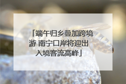 端午归乡叠加跨境游 南宁口岸将迎出入境客流高峰