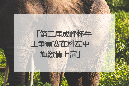 第二届成峰杯牛王争霸赛在科左中旗激情上演