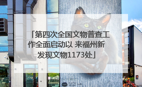 第四次全国文物普查工作全面启动以 来福州新发现文物1173处