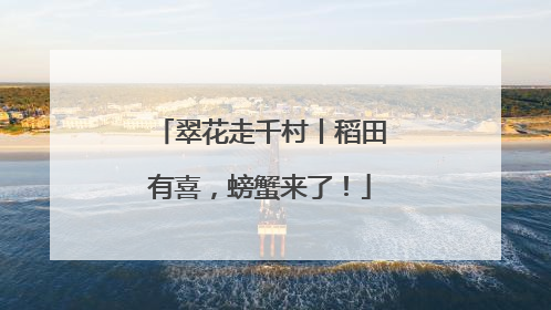 翠花走千村丨稻田有喜，螃蟹来了！