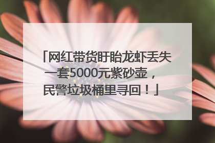 网红带货盱眙龙虾丢失一套5000元紫砂壶，民警垃圾桶里寻回！