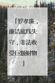 罗孝廉，廉洁底线失守，非法收受巨额财物