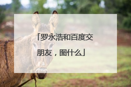 罗永浩和百度交朋友，图什么