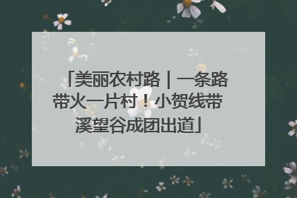 美丽农村路｜一条路带火一片村！小贺线带溪望谷成团出道
