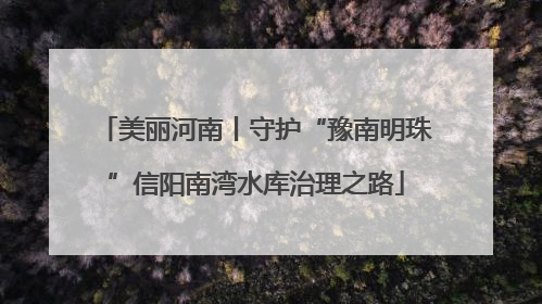 美丽河南丨守护“豫南明珠”信阳南湾水库治理之路