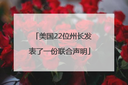 美国22位州长发表了一份联合声明