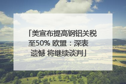 美宣布提高钢铝关税至50% 欧盟：深表遗憾 将继续谈判