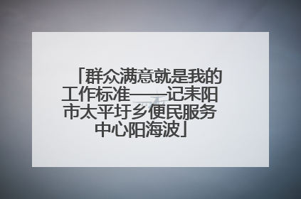 群众满意就是我的工作标准——记耒阳市太平圩乡便民服务中心阳海波