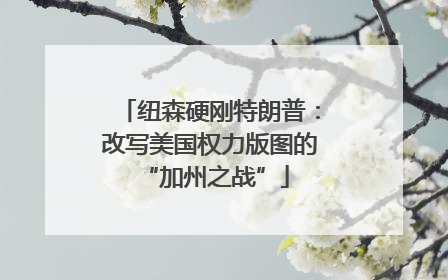 纽森硬刚特朗普：改写美国权力版图的 “加州之战”