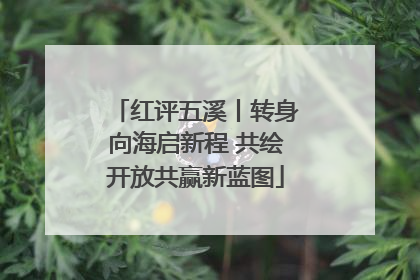 红评五溪丨转身向海启新程 共绘开放共赢新蓝图