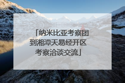 纳米比亚考察团到湘潭天易经开区考察洽谈交流