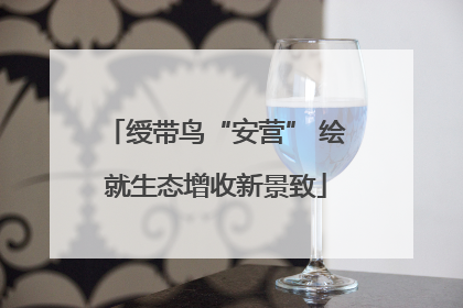 绶带鸟“安营” 绘就生态增收新景致